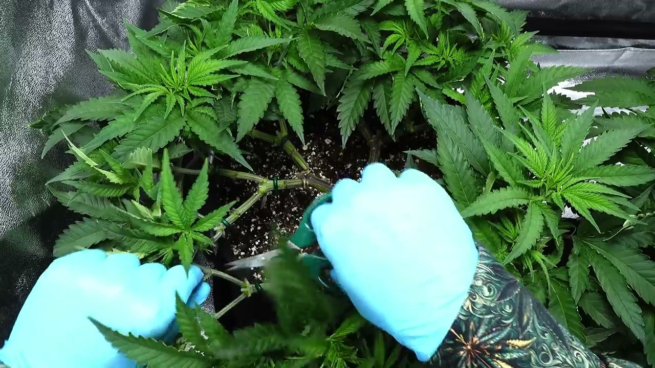 Platzhalter für Detailbild aus dem Mainlining-Projekt